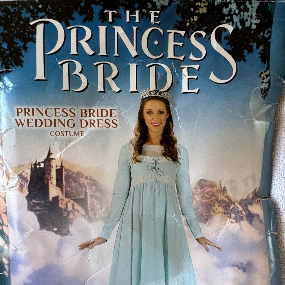 Princess Bride Wedding Dress Costume - Light Blue